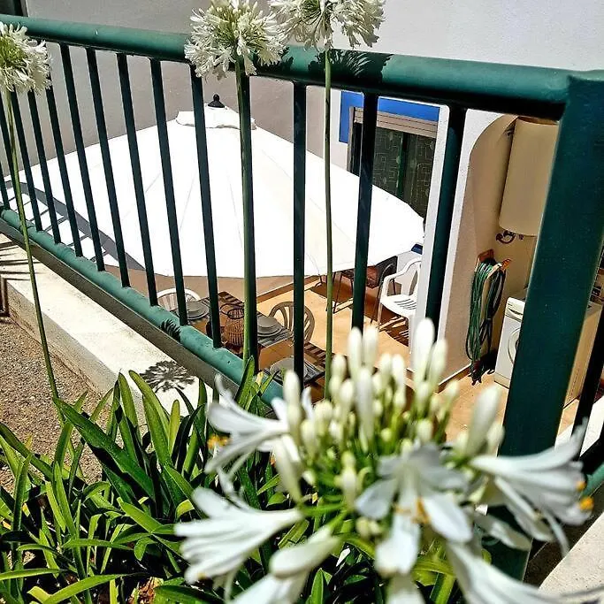 Apartamento Encantador A 100M Da Praia Carvoeiro